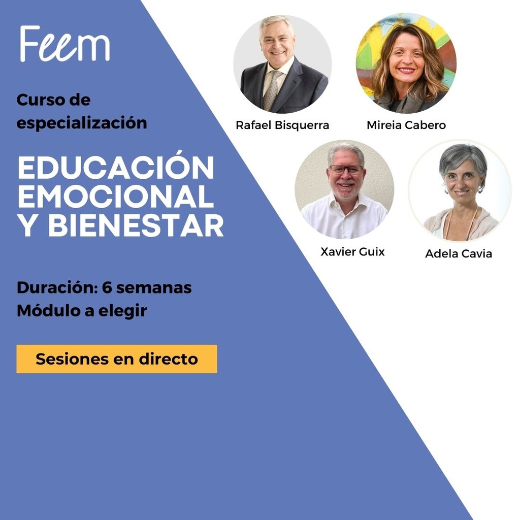 FEEM.E7_Curso de especialización