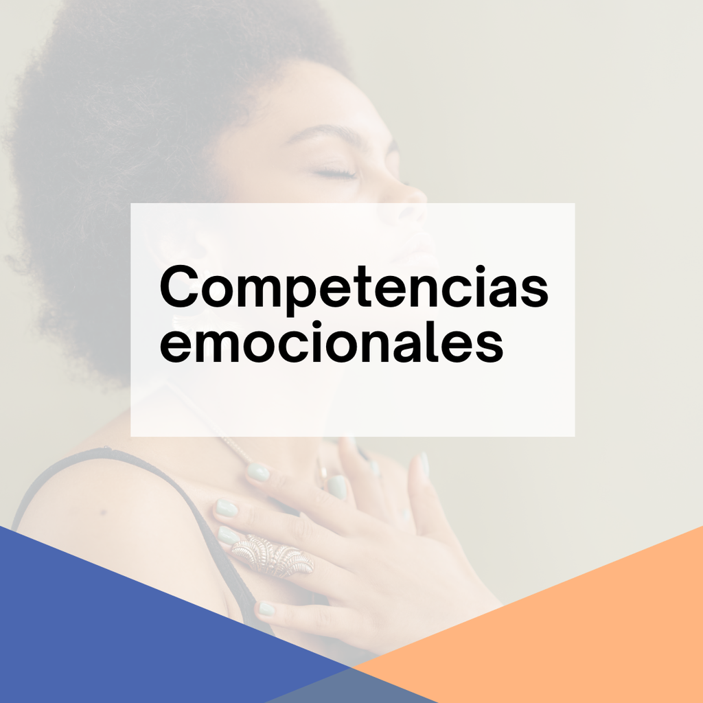 FEEM.E6_Competencias emocionales
